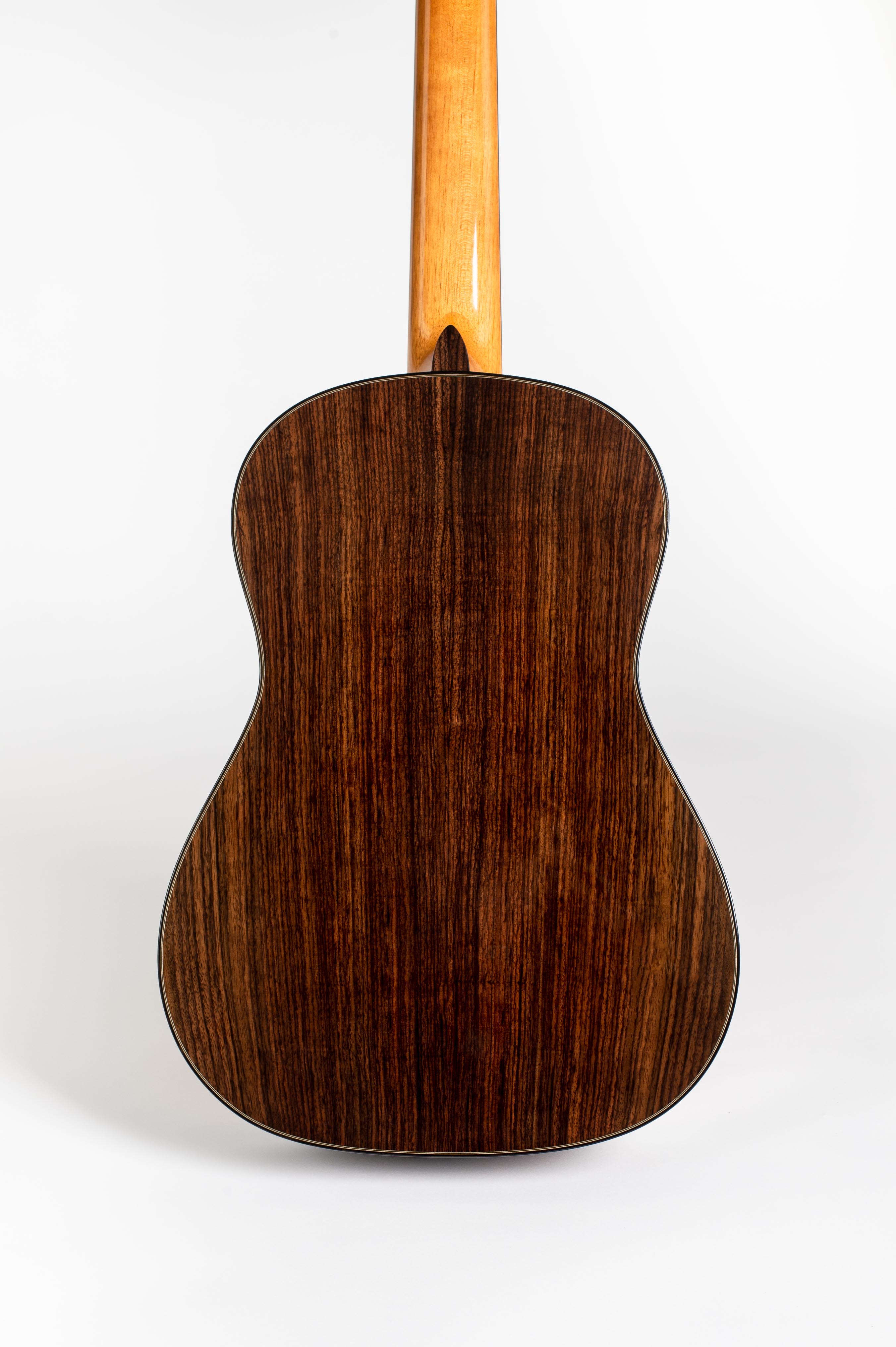 MARCO DISSEGNA LIUTAIO