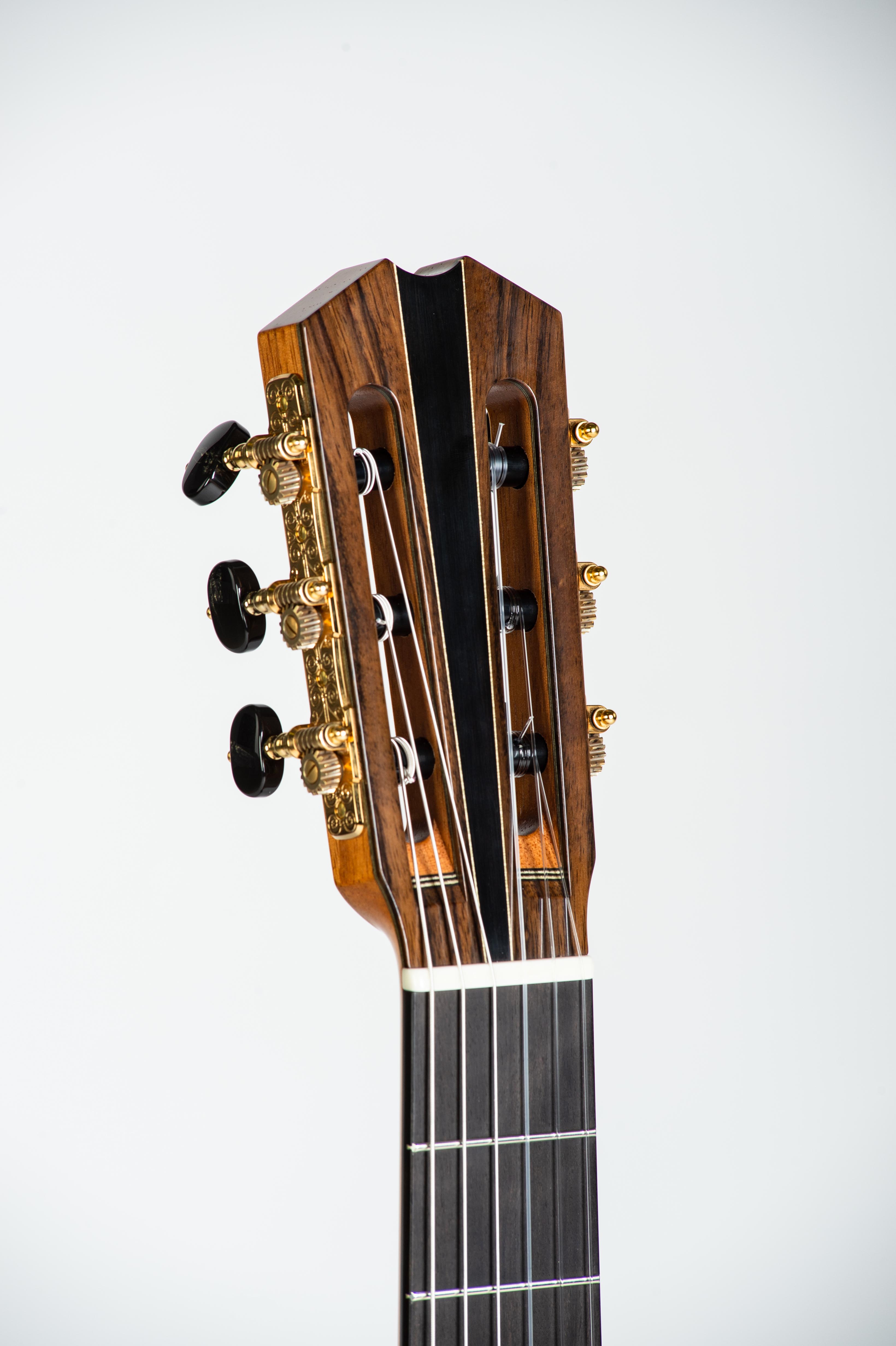 MARCO DISSEGNA LIUTAIO