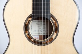 MARCO DISSEGNA LIUTAIO