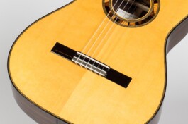 MARCO DISSEGNA LIUTAIO