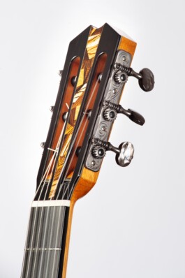 MARCO DISSEGNA LIUTAIO